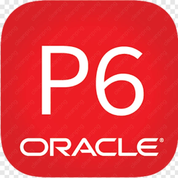 Oracle P6